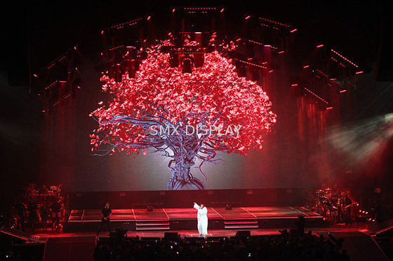 Qualität Show transparentes ganz eigenhändig geschriebes des Projektions-Schirm-Polyamid-materielle Hologramm-3D Fabrik