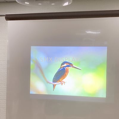 Qualität Dunkelgraue selbstklebende hintere Projektions-Folie, vordere Projektions-Film für Messen Fabrik