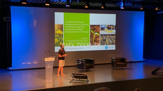 großer motorisierter Schirm der Projektions-350inch mit Rf-Fernbedienung